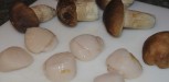 cepes