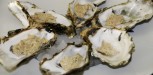 rillettes d'esturgeon