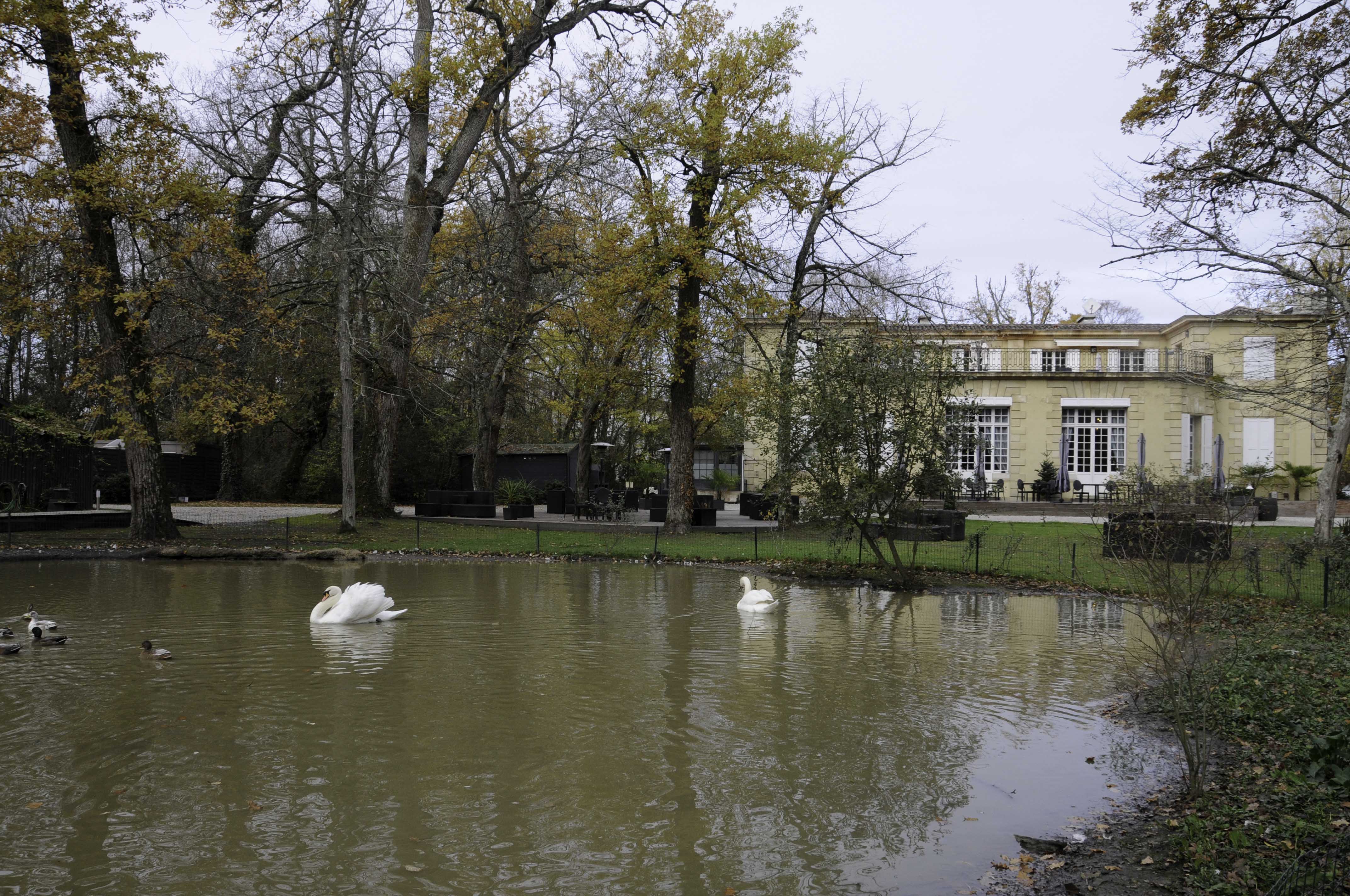 La Réserve Pavillon du Château de Raba (1)