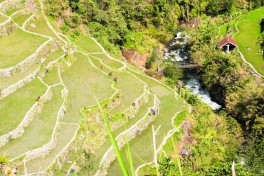 Rizières Philippines