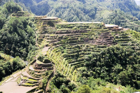 Banaue Rizières Philippines