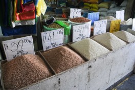 marché Bohol