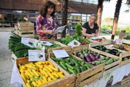 Marché producteurs Saint James (10)