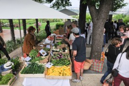 Marché producteurs Saint James (30)