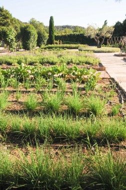 Jardin Potager Oustau de Baumanière