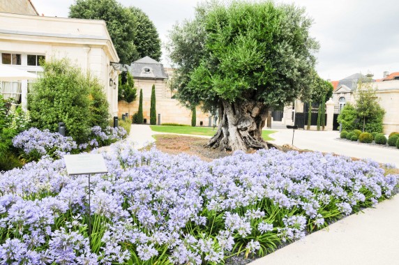 La Grande Maison Pierre Gagnaire (51)