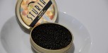 caviar sturia
