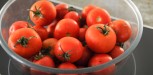 tomates