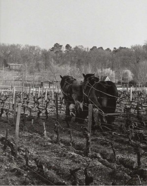 Les Sources de Caudalie, un art de vivre au coeur des vignes (13)