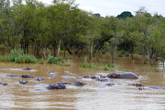 Afrique du Sud (12)