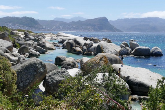 Boulders Beach Le Cap, Capetown (24)