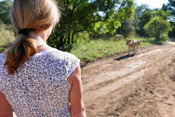 Ukutula Lodge Afrique du Sud