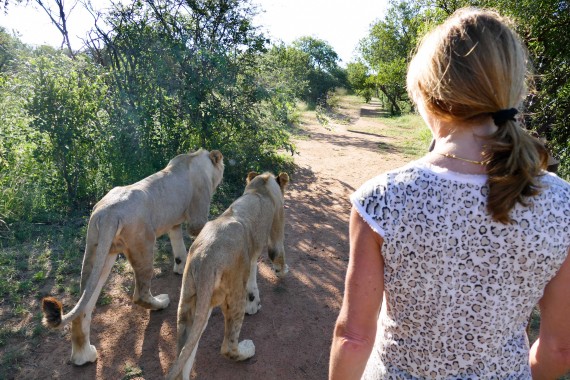 Afrique du Sud (126)