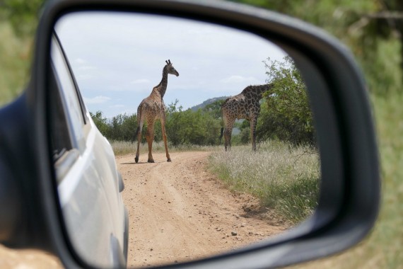 Afrique du Sud (63)