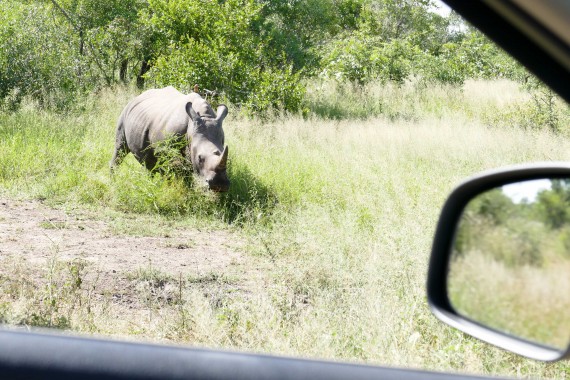 Afrique du Sud (66)