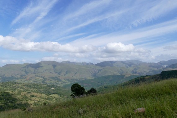 Swaziland (4)