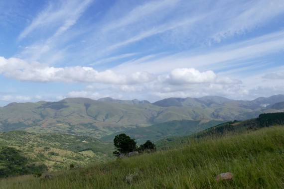 Swaziland (4)