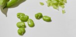 recette asperges (6)