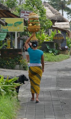 Bali (32)