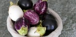 recette aubergines (2)