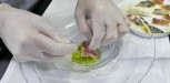 recette Pierre Gagnaire