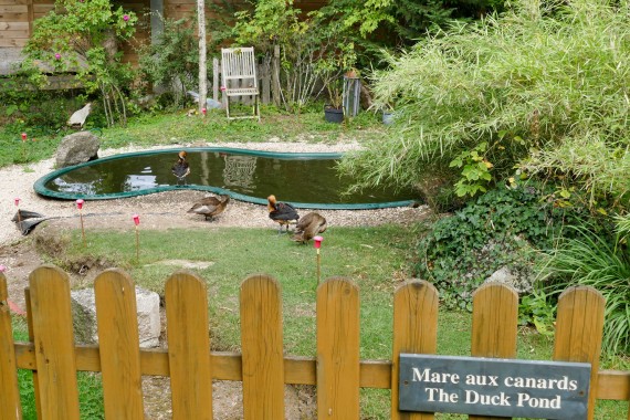 Relais Bernard Loiseau (29)