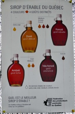 sirop dérable