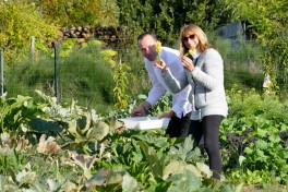 Potager La Maison d'à Coté (1)