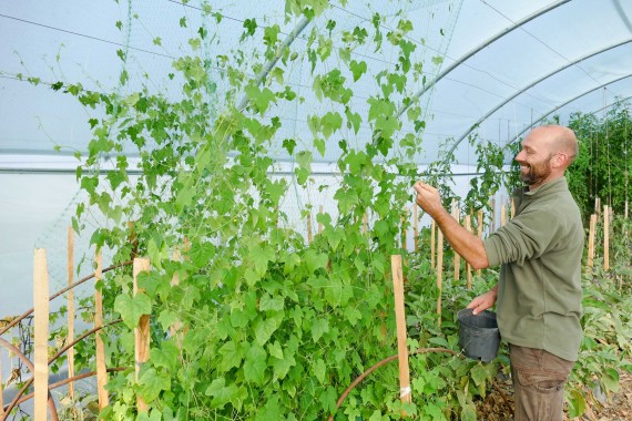 Potager La Maison d'à Coté (13)