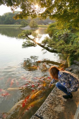 jardin japonais : Korakuen