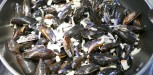 recette moules William Ledeuil (4)