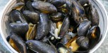 recette moules William Ledeuil (9)