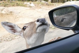 parc omega