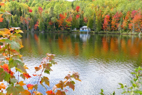 automne Québec