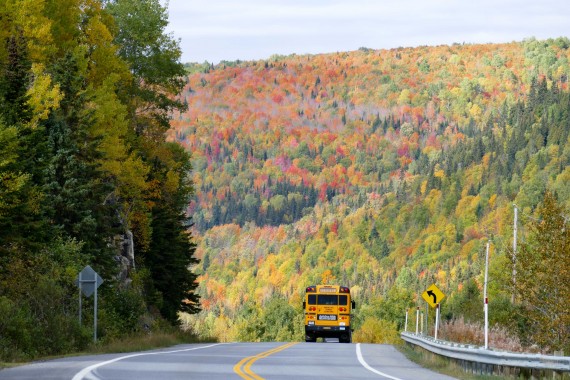 Quebec (51)