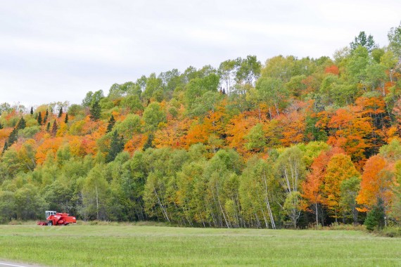 Quebec (52)