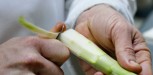 recette asperge Julien Dumas (4)