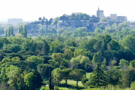 Abbaye Saint-André Villeneuve les Avignon (2)