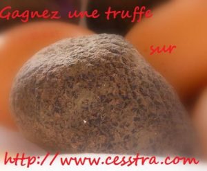 Concours de recettes de cuisine: gagnez une truffe mélano