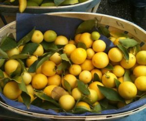 Limequat... encore un drôle d'agrume!