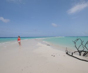 Fidji, Ile des Pins, et Ayers Rock en Australie...