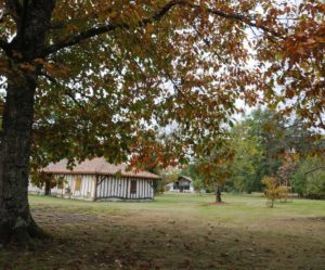 La Ferme de Tauziet, partenaire d'Assiettes Gourmandes