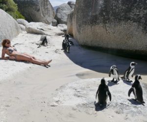 Voyage en Afrique du Sud ; première étape, la ville du Cap et sa région