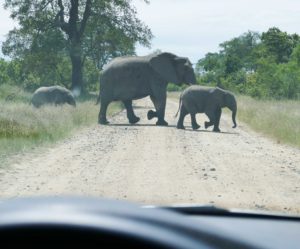 Voyage dans le Swaziland et au Parc Kruger en Afrique du Sud