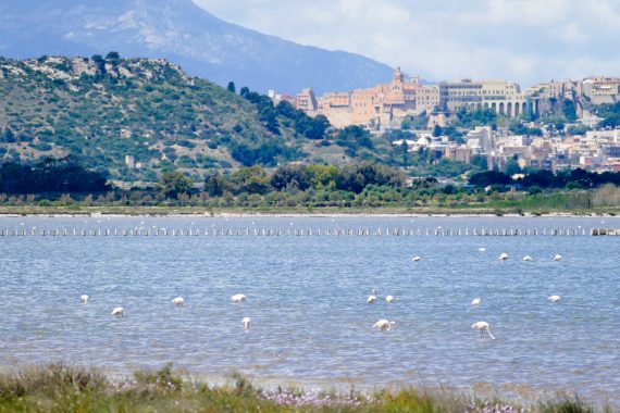 Sardaigne du sud - Cagliari