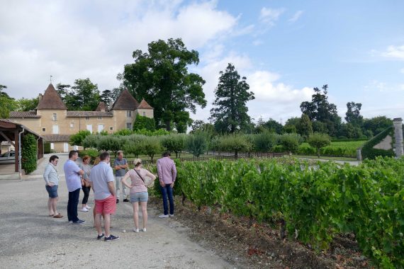 Château Carbonnieux - Pessac-Léognan