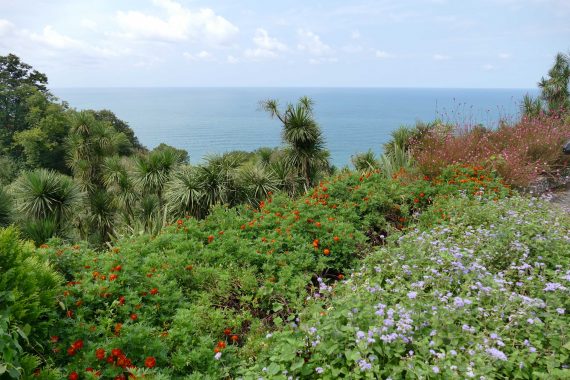 jardin botanique de Batoumi