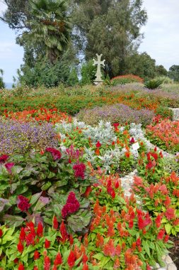 jardin botanique de Batoumi