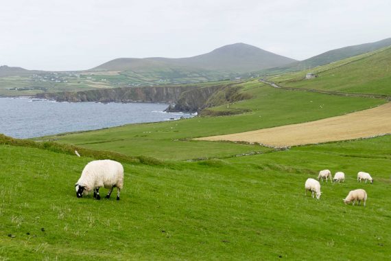 Dunmore Head 