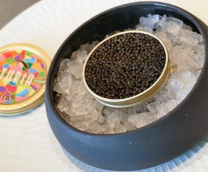 Sturia, leader du Caviar d’Aquitaine, toutes les étapes de la fabrication